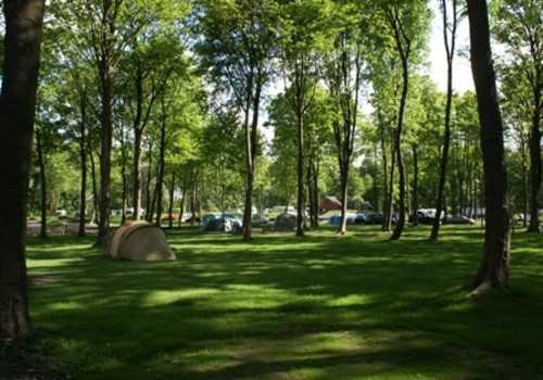 Golden Valley Caravan Park And Campsite